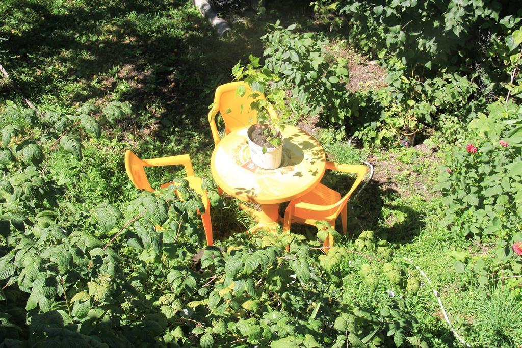 Dodo Japaridze Guesthouse Μέστια Εξωτερικό φωτογραφία